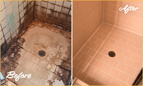 Tile Regrouting  Regrouting Shower Tile - The Grout Guy