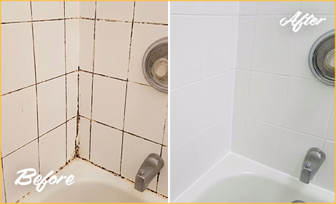 https://www.sirgrouthouston.com/images/p/g/6/grout-cleaning-moldy-tub-480.jpg