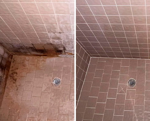 Shower Before and After a Tile Cleaning in Spring, TX